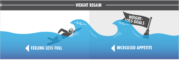 Weight loss and weight regain graphic‐2